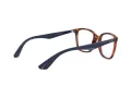Ray-Ban Brillen RX 7066 5585