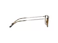 Ray-Ban Brillen RX 7244 2012