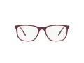 Ray-Ban Brillen RX 7244 8099
