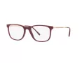 Ray-Ban Brillen RX 7244 8099