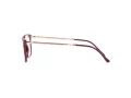 Ray-Ban Brillen RX 7244 8099