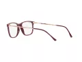 Ray-Ban Brillen RX 7244 8099