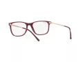 Ray-Ban Brillen RX 7244 8099