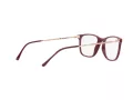 Ray-Ban Brillen RX 7244 8099