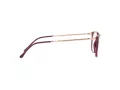Ray-Ban Brillen RX 7244 8099