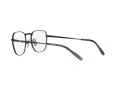 Ray-Ban Frank Titanium Brillen RX 8258V 1237