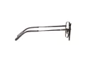 Ray-Ban Frank Titanium Brillen RX 8258V 1237