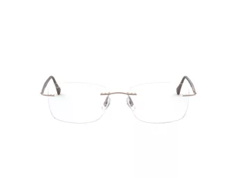 Ray-Ban Brillen RX 8725 1131
