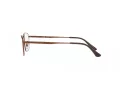Ray-Ban Brillen RX 8775D 1121