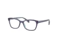 Ray-Ban Brillen RY 1591 3945