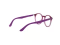 Ray-Ban Brillen RY 1594 3813