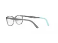 Ray-Ban Brillen RY 1614D 3908