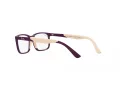 Ray-Ban Brillen RY 1621 3931