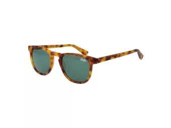 Superdry Sonnenbrille SDS Roku 170