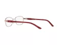 Sferoflex Brillen SF 2570 489