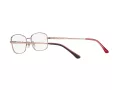 Sferoflex Brillen SF 2573 490