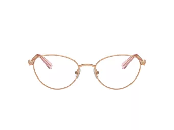 Swarovski Brillen SK 1002 4014