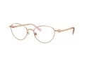 Swarovski Brillen SK 1002 4014