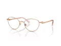 Swarovski Brillen SK 1002 4014
