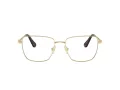 Swarovski Brillen SK 1003 4013