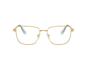 Swarovski Brillen SK 1003 4021