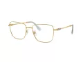 Swarovski Brillen SK 1003 4021