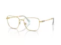 Swarovski Brillen SK 1003 4021