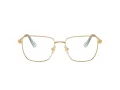 Swarovski Brillen SK 1003 4021