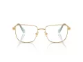 Swarovski Brillen SK 1003 4021