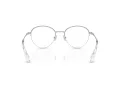 Swarovski Brillen SK 1004 4001