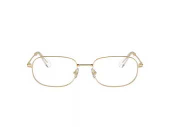 Swarovski Brillen SK 1005 4013