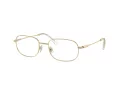 Swarovski Brillen SK 1005 4013