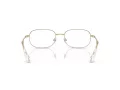 Swarovski Brillen SK 1005 4013