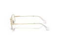 Swarovski Brillen SK 1005 4013