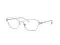 Swarovski Brillen SK 1006 4020