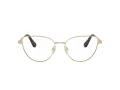 Swarovski Brillen SK 1007 4013