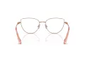 Swarovski Brillen SK 1007 4014