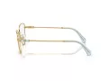 Swarovski Brillen SK 1007 4021