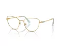 Swarovski Brillen SK 1007 4021