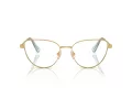 Swarovski Brillen SK 1007 4021