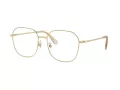 Swarovski Brillen SK 1009D 4013