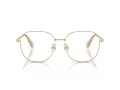 Swarovski Brillen SK 1009D 4013