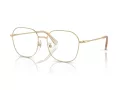 Swarovski Brillen SK 1009D 4013