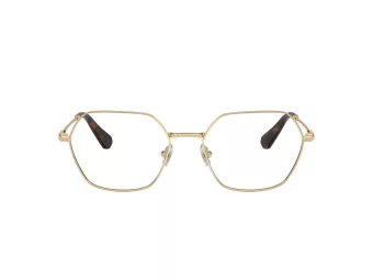 Swarovski Brillen SK 1011 4013