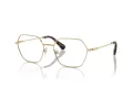 Swarovski Brillen SK 1011 4013