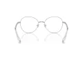 Swarovski Brillen SK 1013 4001