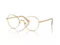 Swarovski Brillen SK 1013 4004