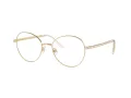 Swarovski Brillen SK 1013 4013