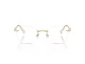 Swarovski Brillen SK 1014 4013