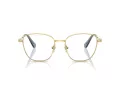 Swarovski Brillen SK 1019 4021